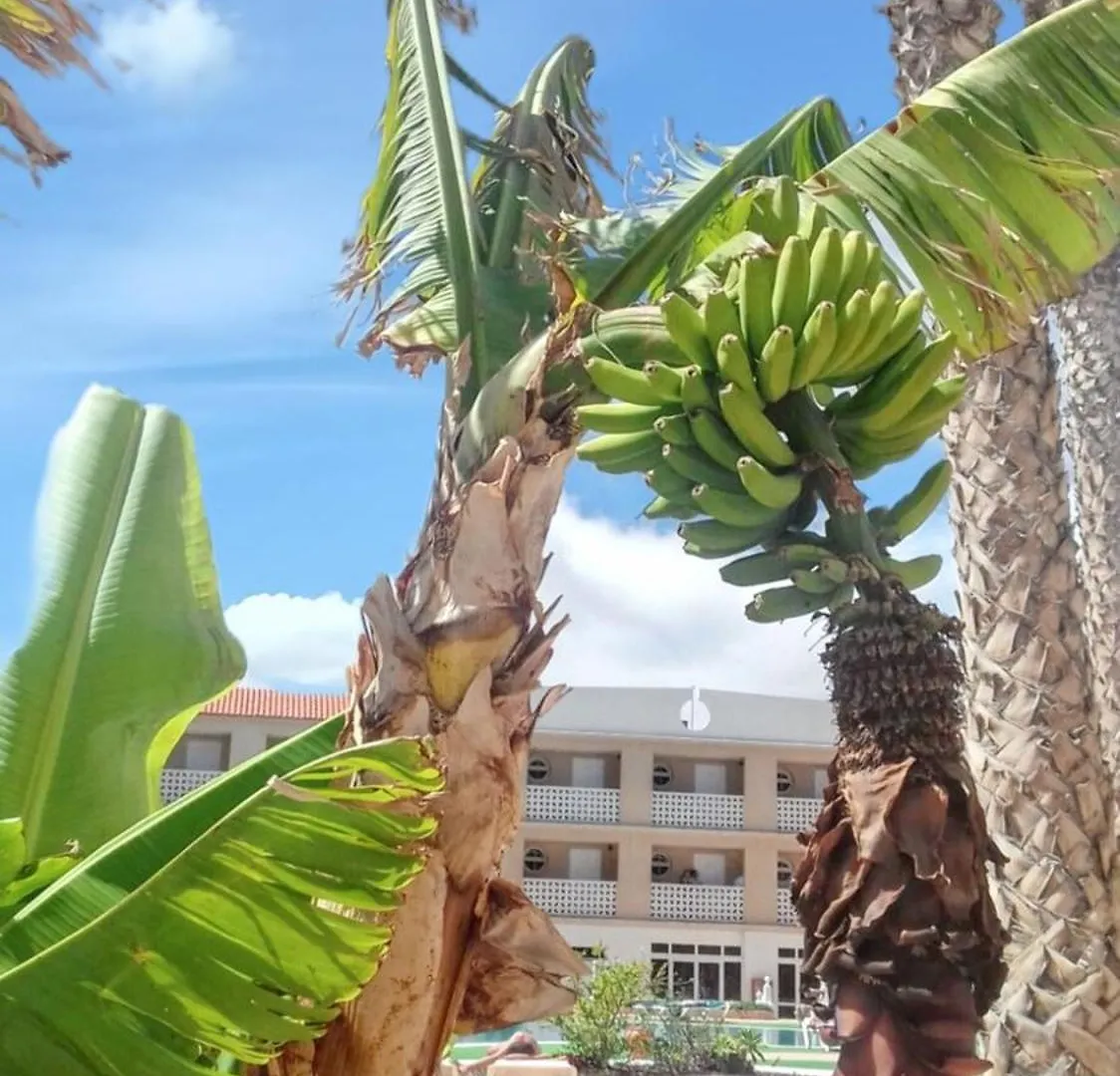 Costa del Silencio Beachside Apartment with Pool and Wi-Fi  Costa Del Silencio